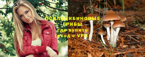метадон Абаза