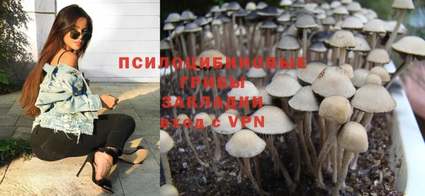 крисы Алексин