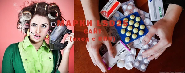ECSTASY Алзамай